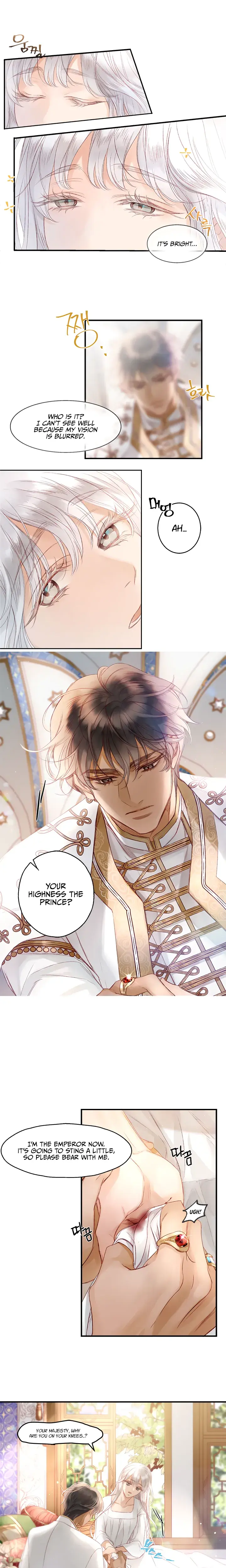 The Sultans Love Chapter 3 - Page 3