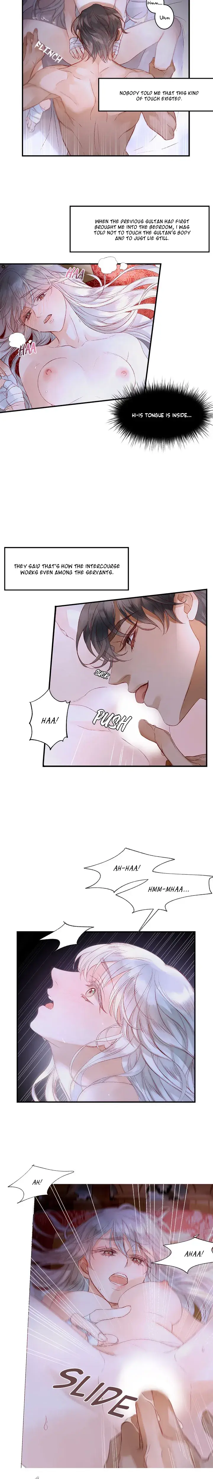 The Sultans Love Chapter 5 - Page 6
