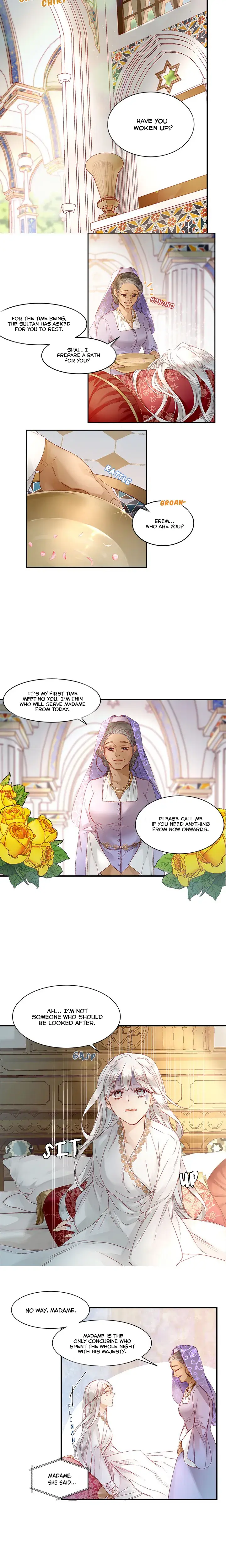 The Sultans Love Chapter 6 - Page 7