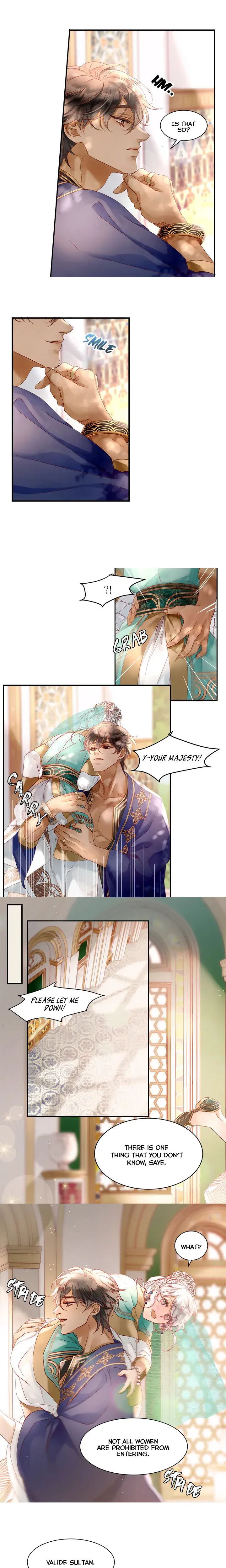 The Sultans Love Chapter 8 - Page 3