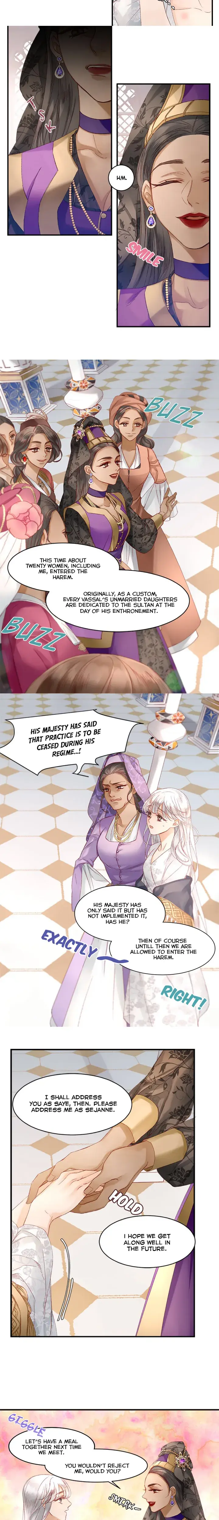 The Sultans Love Chapter 9 - Page 13