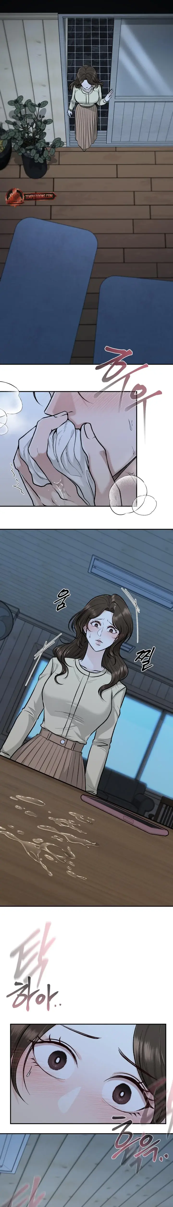 The Twins Toywife Chapter 4 - Page 17