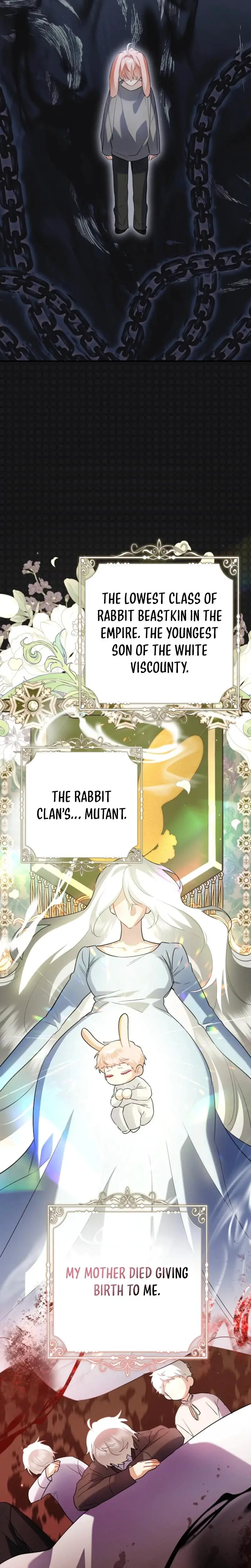 Theres No Way I D Be Satisfied With A Rabbit Husband Chapter 11 - Page 24