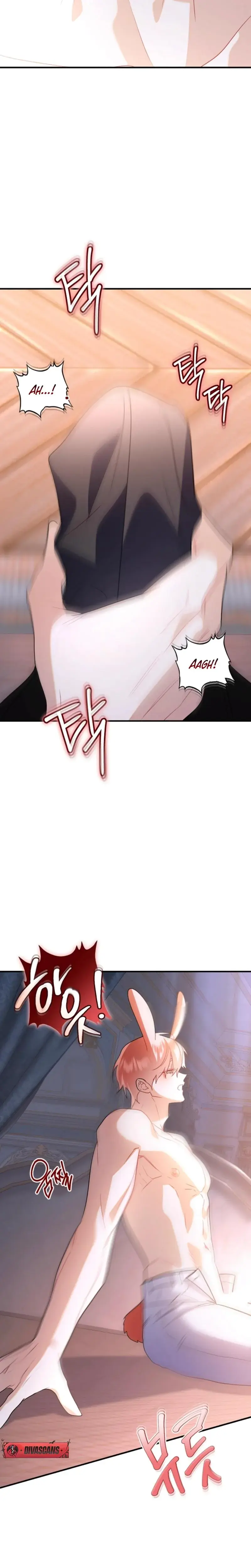 Theres No Way I D Be Satisfied With A Rabbit Husband Chapter 14 - Page 12