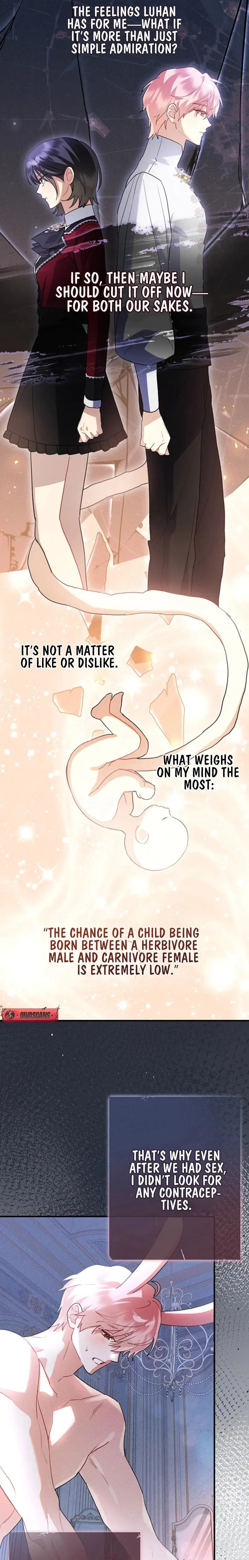 Theres No Way I D Be Satisfied With A Rabbit Husband Chapter 8 - Page 5