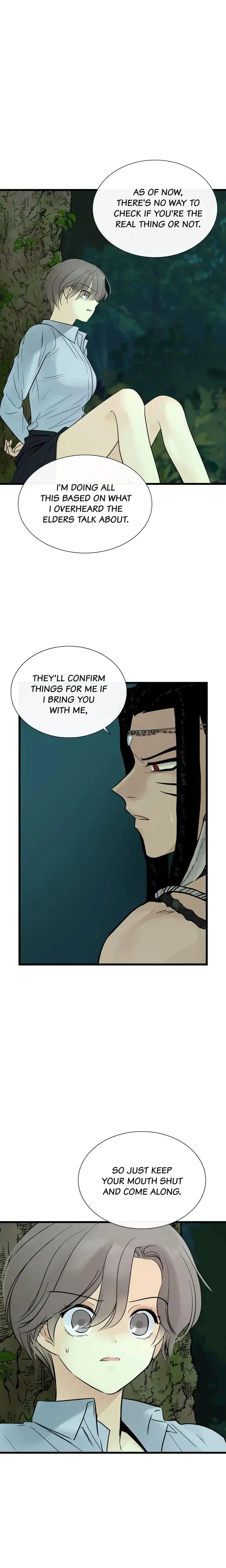 Totems Realm Chapter 27 - Page 17