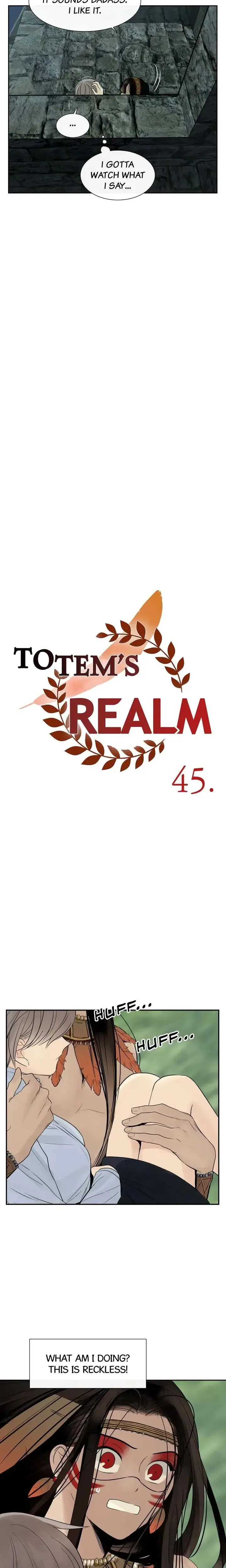 Totems Realm Chapter 45 - Page 11