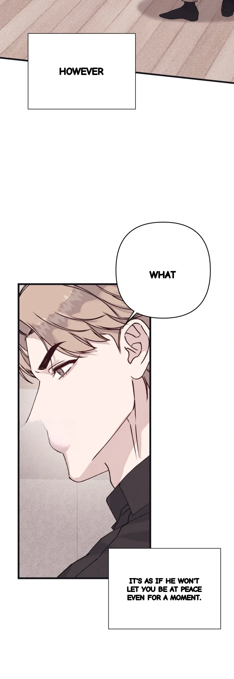 Unstable Partnership Chapter 56 - Page 67