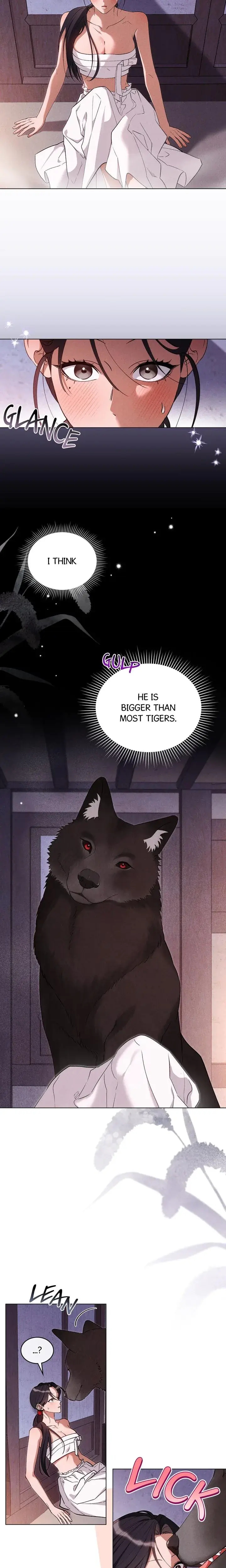 Wolf Groom Chapter 16 - Page 5