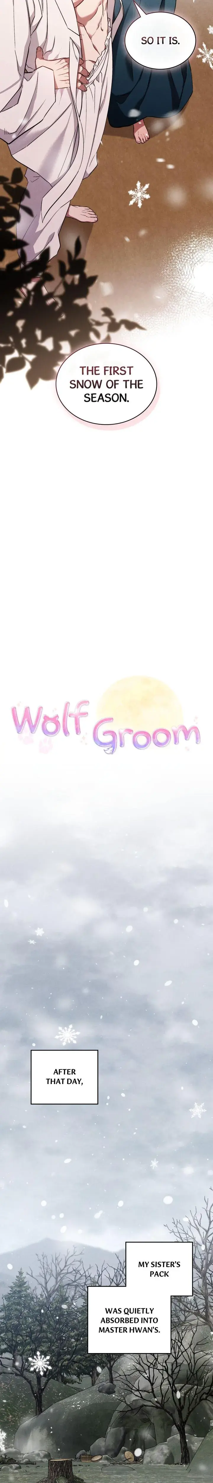 Wolf Groom Chapter 19 - Page 8