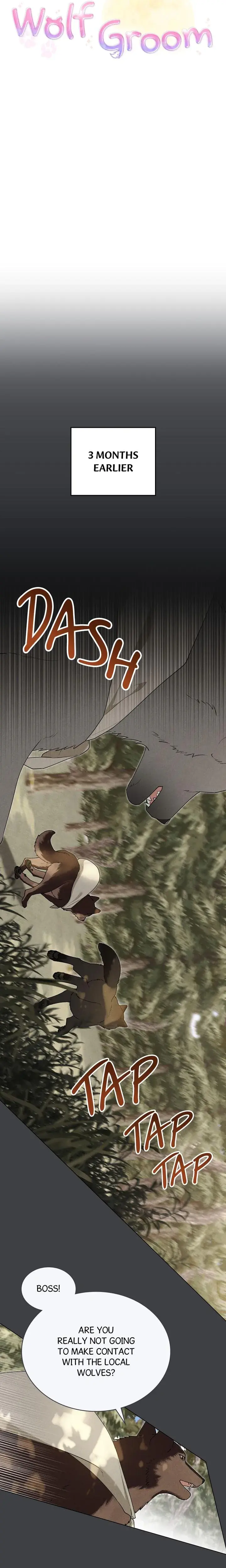 Wolf Groom Chapter 5 - Page 4