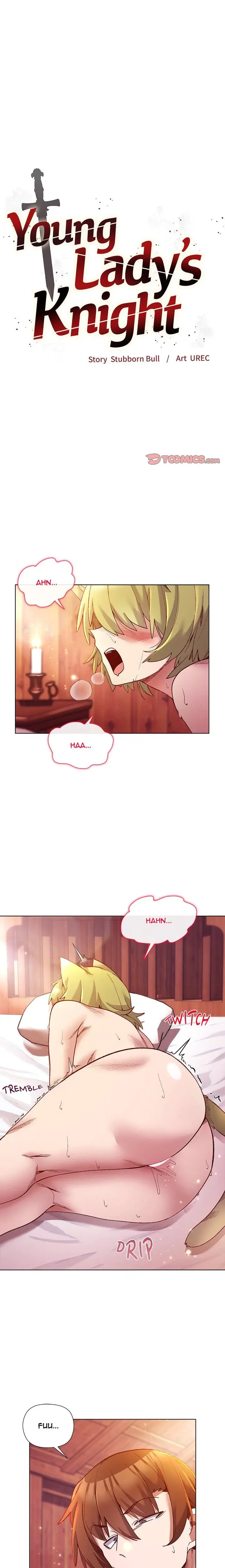Young Ladys Knight Chapter 27 - Page 1
