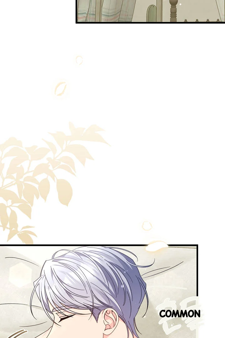 Your Highness This Is Just A Novel Chapter 28 - Page 64