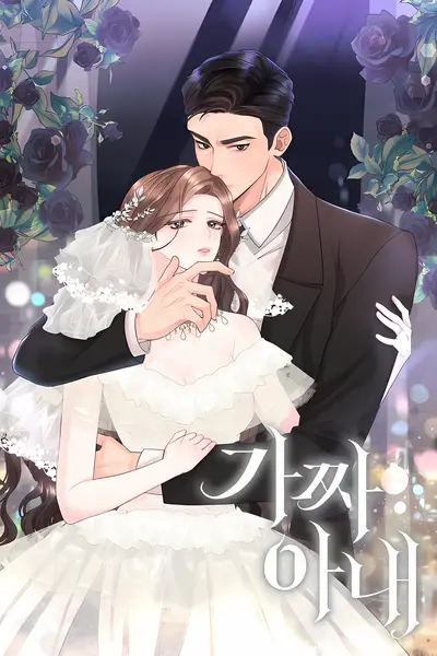Fake Wife Cover