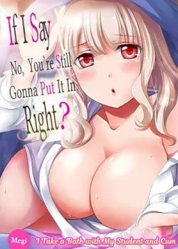 If I Say No, You’re Still Gonna Put It In, Right? Cover