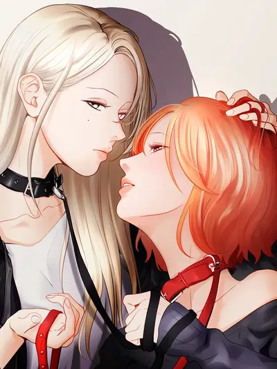 Pet's Aesthetics Cover
