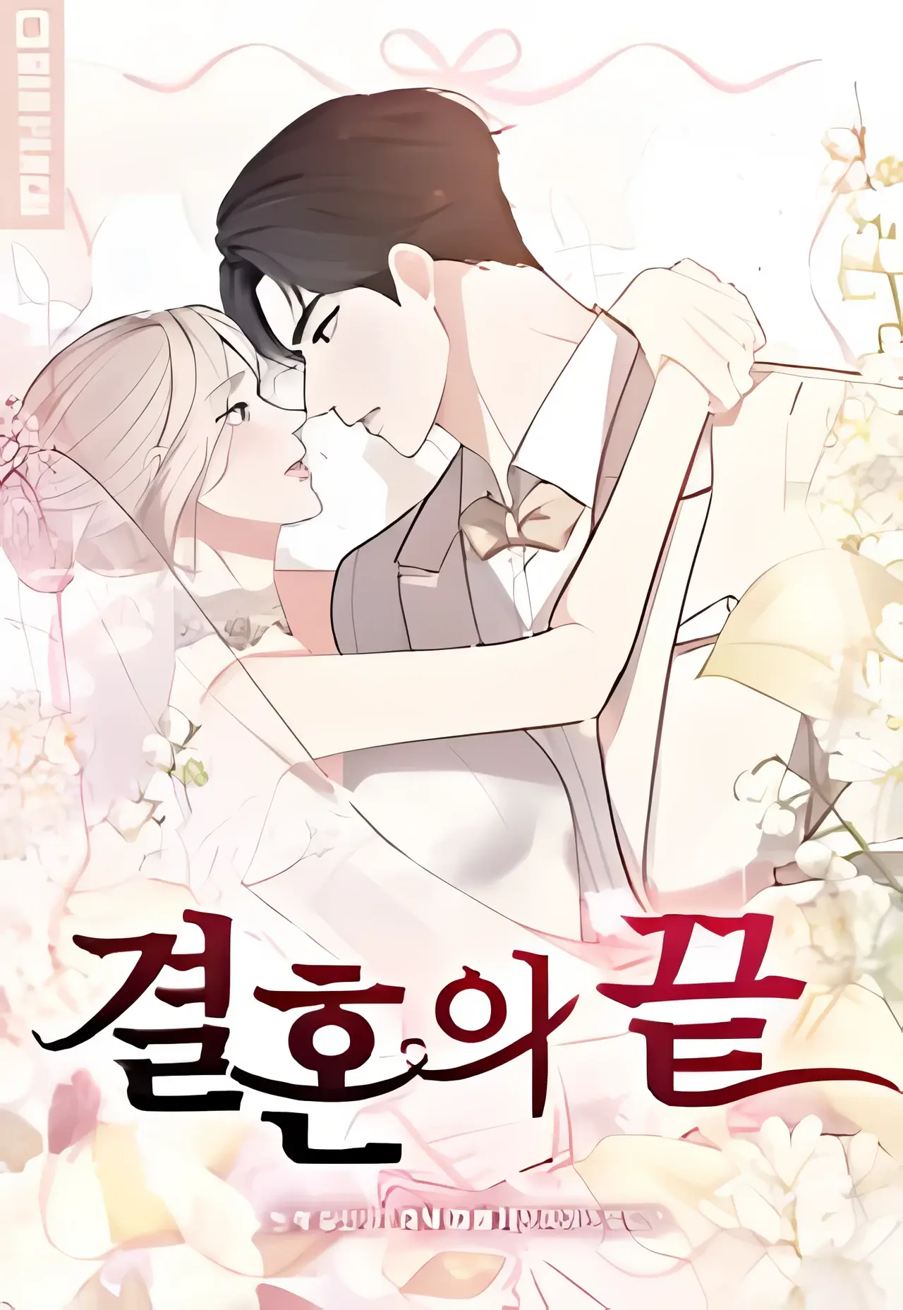 The End of Marriage Manhwa (Uncensored)